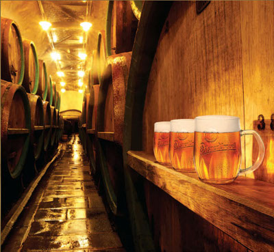 Pilsner Urquell Brewery - Guided excursion from Prague