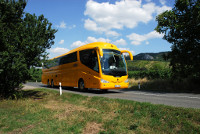 Bus: Firma / Gesellschaft RegioJet