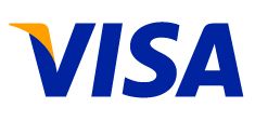 Icon Visa card